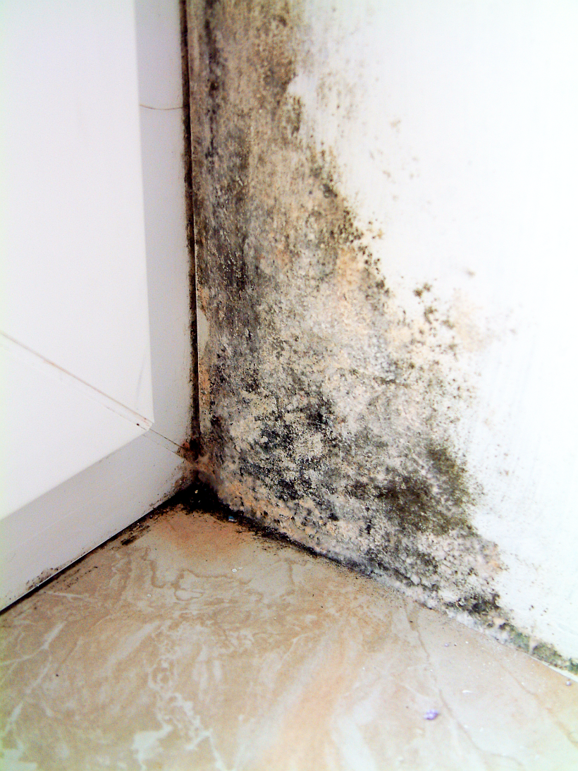 Schimmelbefall in der Fensterlaibung