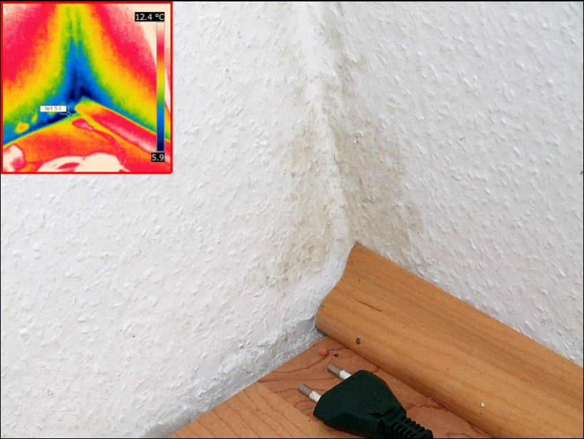 Klar erkennbarer Zusammenhang zwischen dem Schimmel in der Außenwandecke und dem Wärmebild
