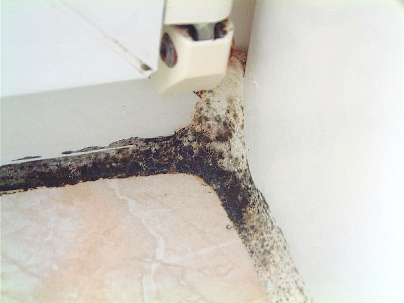 Schimmel auf der Silikonfuge des Fensterbrettes