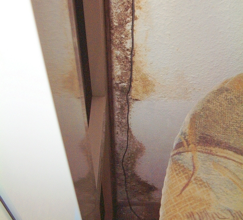 Massiver Schimmelbefall an einer Außenwand unmittelbar neben Fensterrahmen