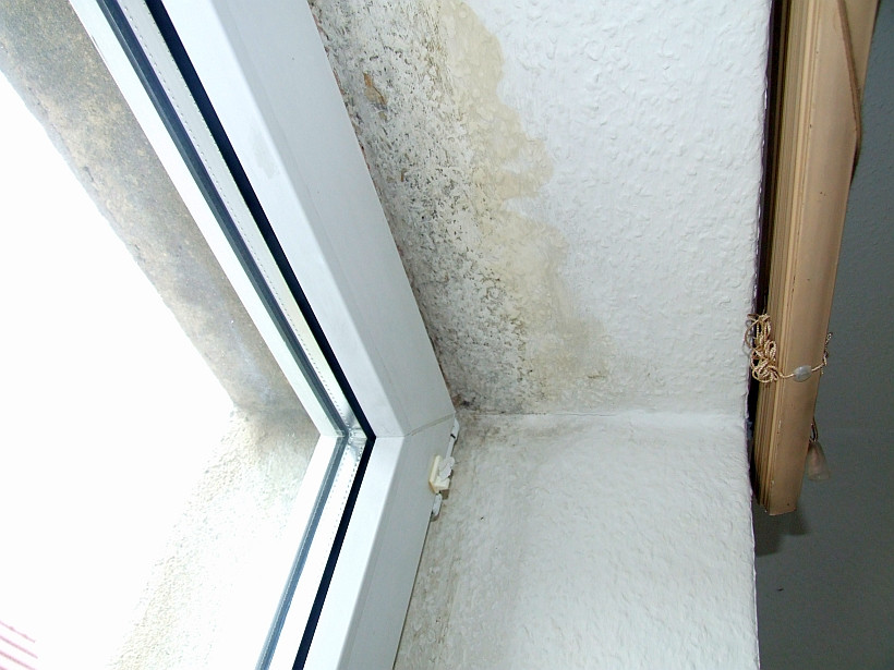 Schimmelbildung im modernisierten Altbau Schimmelbildung im modernisierten Altbau