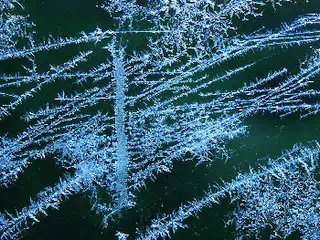 Eisblumen auf Scheiben zeigen eine erhöhte Raumluftfeuchte an Eisblumen auf Scheiben zeigen eine erhöhte Raumluftfeuchte an
