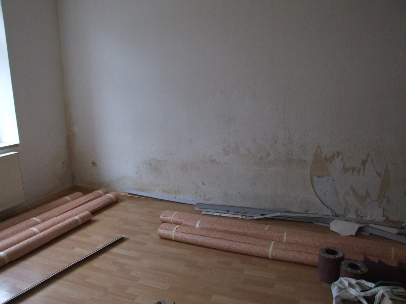 Schimmelbefall in einer Kellerwohnung Schimmelbefall in einer Kellerwohnung
