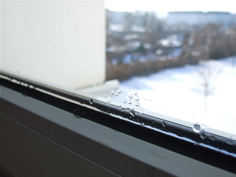 Foto eines Fensters mit Kondensatbildung am Rahmen durch Abkühlung warmer, feuchter Raumluft
