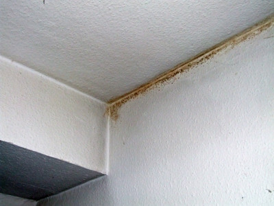 Schimmel im Auflagerbereich Decke auf Außenwand