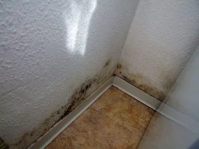 Schimmelbildung knapp oberhalb einer untersten Geschossdecke Schimmelbildung knapp oberhalb einer untersten Geschossdecke