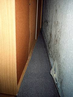 Ermittlung der punktuellen Oberflächentemperatur mit dem Infrarothermometer