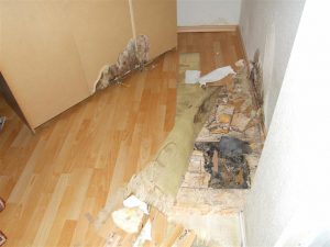 Häufige Bauschäden: Hausschwamm im Holzfußboden (nichtunterkellert)